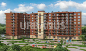 Огни Колпино