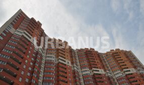 Альбатрос (Санкт-Петербург)