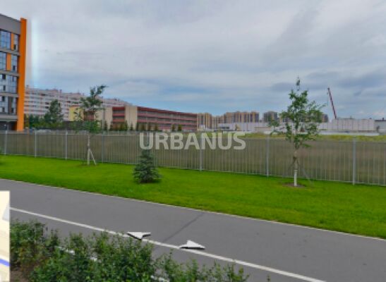 Дом на проспекте Энгельса